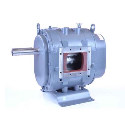 ROOTS FLO 406 Rotary Positive Displacement Blower