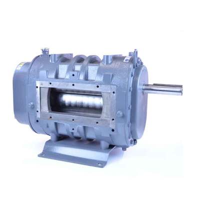 ROOTS™-FLO Frame 412 Positive Displacement Blower