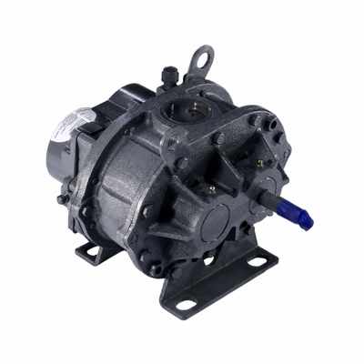Roots Universal RAI-G Gas Blowers